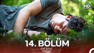 Tatlı Küçük Yalancılar 14 Bölüm FULL HD [upl. by Enal]