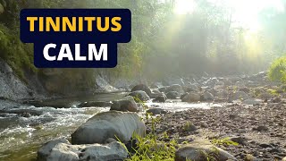 Tinnitus Relief Sound Therapy  Ambient River White Noise [upl. by Maidie]