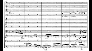 Beethoven Symphony no 1 in C major op 21 [upl. by Yeung]