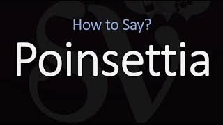 How to Pronounce Poinsettia CORRECTLY [upl. by Nickolai]