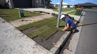 How To Lay Turf Sod  TifTuf Bermuda Couch [upl. by Pharaoh677]