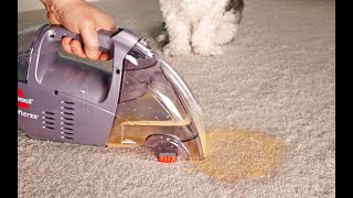 How to Clean Pet Stains [upl. by Llezom]