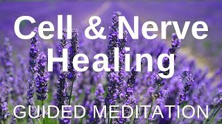 Guided HEAL Meditation  Cell and Nerve Healing Self Healing Meditation [upl. by Nivrae216]