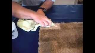 How to Naturally Remove Grease Stains From Carpet [upl. by Auqenwahs]