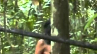 Rare footage of an isolated indian tribe in the Amazon [upl. by Key]