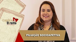 Explica Direito Filiação Socioafetiva  2019 [upl. by Cirdor]