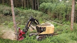 Chilton Logging Tigercat 870D Feller Buncher and Cat 558 Processor [upl. by Etteloiv]