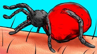 O Que Acontece Com Seu Corpo Quando É Picado Por Uma Aranha [upl. by Radcliffe169]