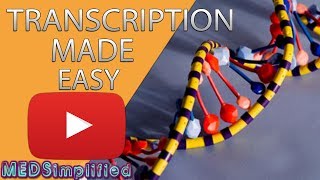 Transcription Made Easy From DNA to RNA 2019 [upl. by Melvina]