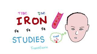 Iron Studies  Serum Fe TIBC ferritin amp Transferrin  Saturation [upl. by Neomah]