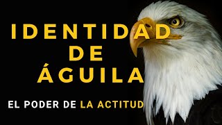 IDENTIDAD DE ÁGUILA  Actitud De Águila [upl. by Rodge935]