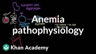 Anemia pathophysiology  Hematologic System Diseases  NCLEXRN  Khan Academy [upl. by Hakeem]