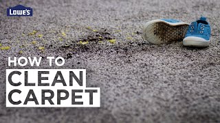 How to Clean Carpet [upl. by Valerlan]