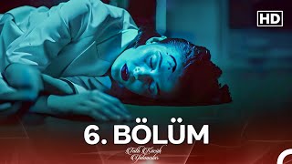 Tatlı Küçük Yalancılar 6 Bölüm FULL HD [upl. by Flore]