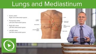 Imaging of Mediastinum Radiological Anatomy  Dr Avni Skandhan MD [upl. by Malonis]