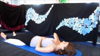 Top 5 Exercises for Pelvic Pain [upl. by Colis]