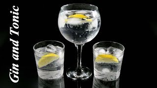 Cómo hacer el clásico GIN and TONIC [upl. by Farrell]