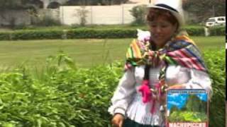 ROSITA DEL CUSCO  CARNAVAL CUSQUEÑO [upl. by Rakabuba]