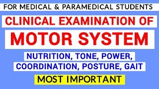 MOTOR SYSTEM EXAMINATION  CLINICAL LAB  PHYSIOLOGY PRACTICALS [upl. by Alilak]