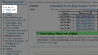 Clip Exons and Introns [upl. by Klehm]