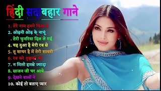 Dil Tera Deewana – Lily Matinez  Official Exclusive [upl. by Ailegnave]