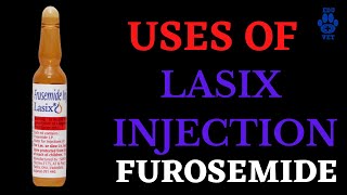 FurosemideThe Lasix Injection Uses [upl. by Atoel]