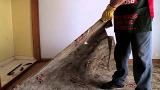 How To Remove Carpet  DIY At Bunnings [upl. by Grayce]