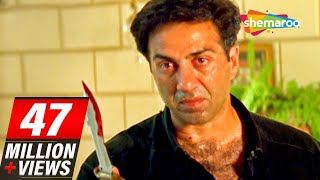 Sunny Deol scenes From Salaakhen 1998  Raveena Tandon  Anupam Kher  Hit Hindi Movie [upl. by Starobin]