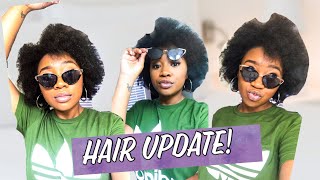 1 Month Natural Hair Update  Keratin Treatment  4C Hair [upl. by Guinevere475]