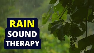 Tinnitus Sound Therapy  Rain Water [upl. by Saenihp]