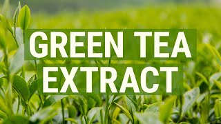 What is Green Tea Extract [upl. by Dhar51]