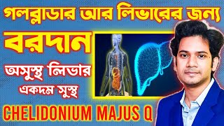 Chelidonium Majus Homeopathic medicine  DrJayantaMahataHomoeopathy [upl. by Oj]