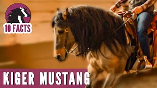 10 Fascinating Facts About the Kiger Mustang [upl. by Miculek480]