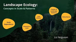 Landscape Ecology Concepts in Scale and Pattern [upl. by Redienhcs]