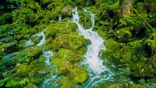 Mountain Forest Small Waterfall Screensaver No Sound — 10 Hours 4K UHD [upl. by Getraer]