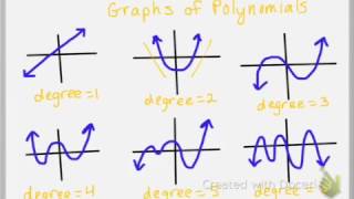 Introduction to Polynomial Functions [upl. by Llennyl]