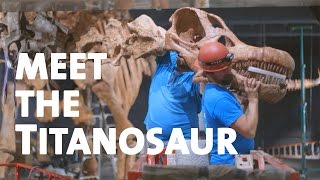 Meet the Titanosaur [upl. by Annig]