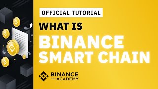 What is Binance Smart Chain BSC and How to Use It  Binance Official Guide [upl. by Garald]