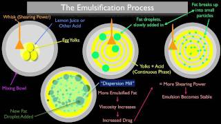 The Emulsification Process [upl. by Groh]