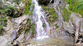 Wasserfall  Natur pur in Full HD  Entspannung [upl. by Nasah]