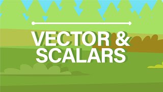 What are Vector and Scalar Quantities [upl. by Nah137]