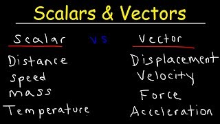 Scalars and Vectors [upl. by Rella]