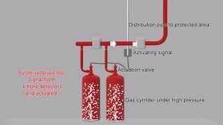 FM 200 Fire Suppression system [upl. by Yelac]