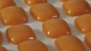 Caramels Recipe Demonstration  Joyofbakingcom [upl. by Silletram683]