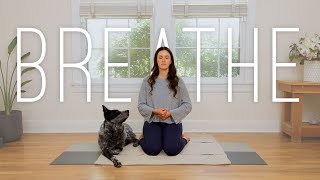 10 Minute Balancing Breathwork [upl. by Beutler503]