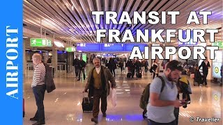 TRANSIT WALK AT FRANKFURT Airport FRA Terminal 1  Connection Flight Transfer Arriving amp Departing [upl. by Tedman566]