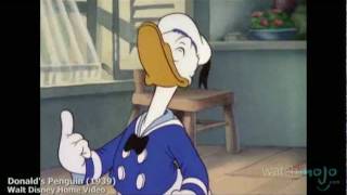 The History of Donald Duck [upl. by Matland]