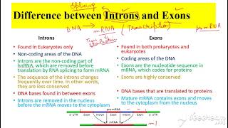 Introns vs Exons [upl. by Enelyahs636]