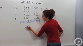 Reaction Rate Laws [upl. by Sherie]