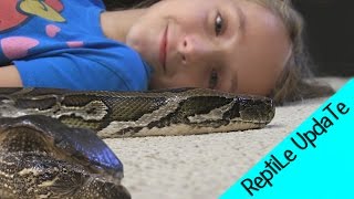 Reptile Collection PT2  THE SNAKE GIRL Krista Guarino [upl. by Acirfa343]